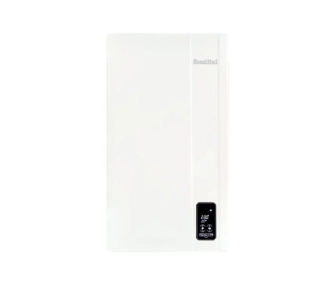 Классический газовый котел FONDITAL FORMENTERA CTFS 32 кВт