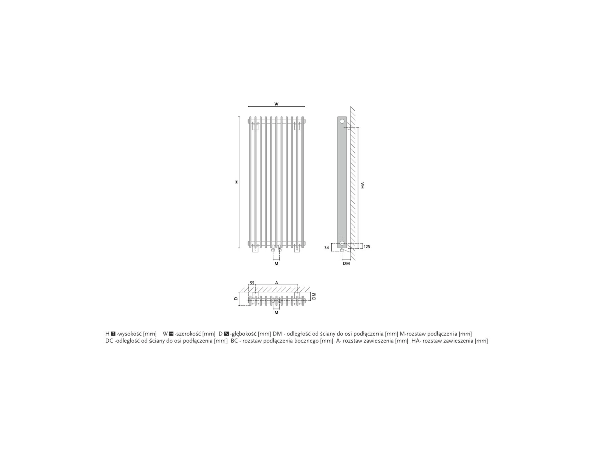 Radiator design GORGIEL IBERIS V AIB V 100/20