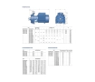 Центробежный электронасос с двумя рабочими колесами Pedrollo 2CPm25/14A (2CPm160/160)
