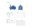 Центробежный электронасос Pedrollo CP 210B