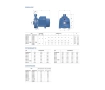 Центробежный электронасос Pedrollo CPm 170