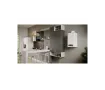 Cazan pe gaz in condensatie Ariston CARES S 30 TF