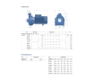Центробежный электронасос Pedrollo CP 220C